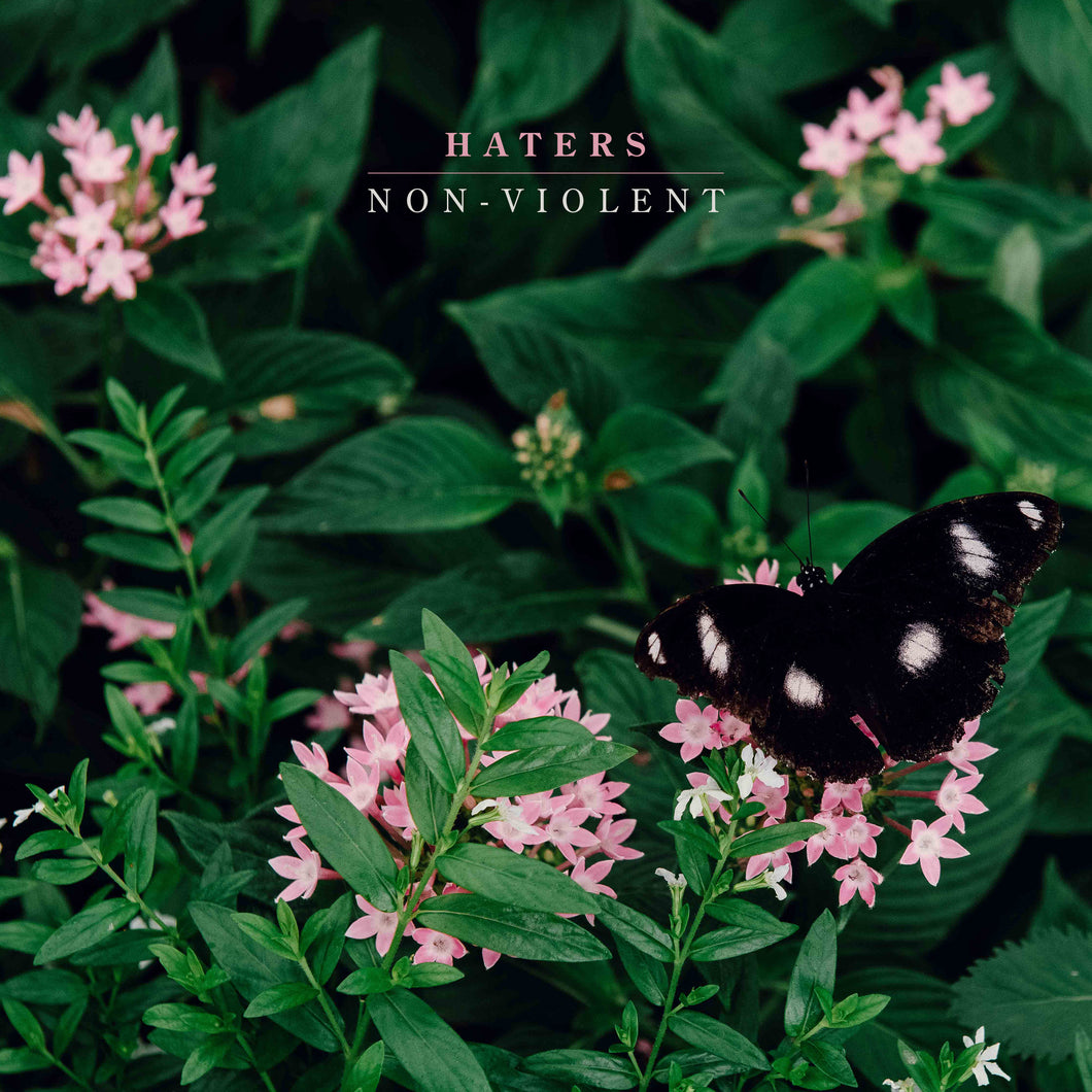 NON-VIOLENT VINYL